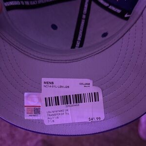 Nike Men's Purple and Gray Cap